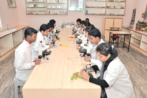 B.Sc. (Bachelor Of Science With Microbiology) | Jain College